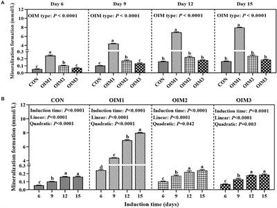 Dentin Matrix Protein 1 Silencing Inhibits Phosphorus Utilization in Primary Cultured Tibial Osteoblasts of Broiler Chicks